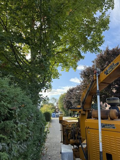 Déchiquetage des branches sur place avec un déchiqueteur en zone résidentielle — Ultra Arbre