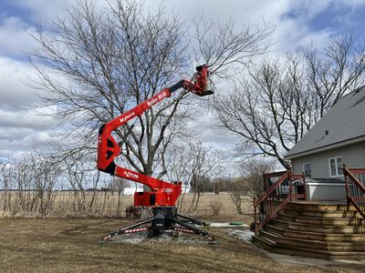 Élagage d'un arbre à la nacelle articulée près d'une maison — Ultra Arbre